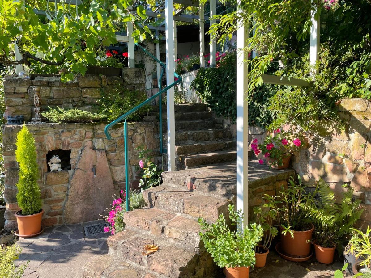 Am Berggarten Heidelberg Esterno foto