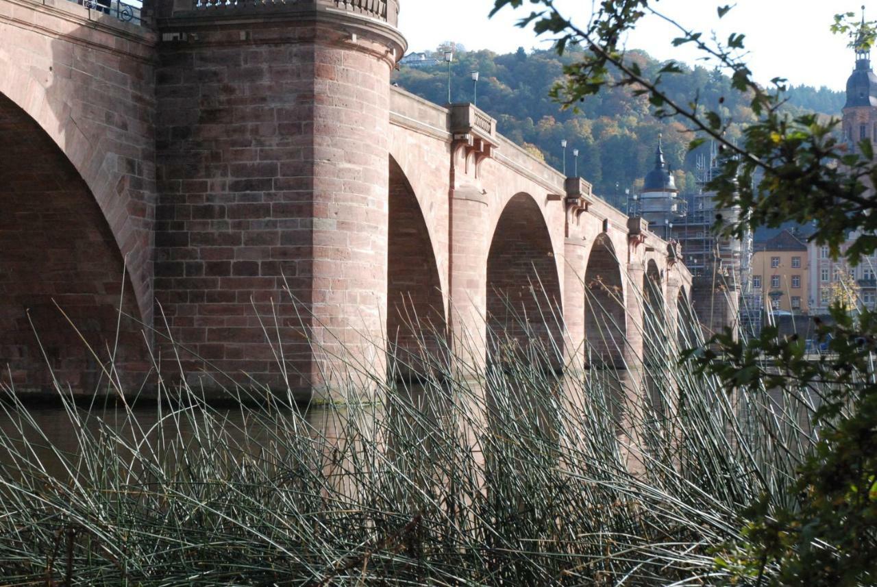Am Berggarten Heidelberg Esterno foto