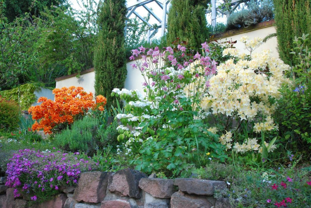 Am Berggarten Heidelberg Esterno foto